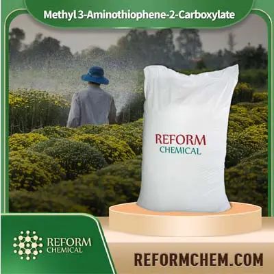 Methyl 3-aminothiophene-2-carboxylate