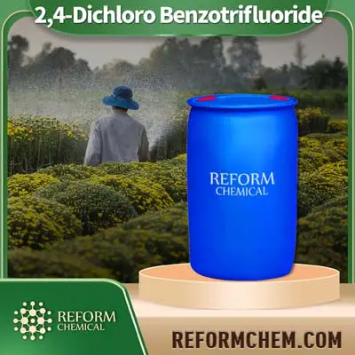 2,4-dichloro benzotrifluoride