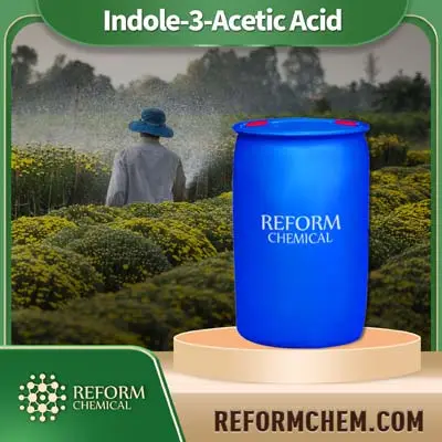 Indole-3-acetic acid