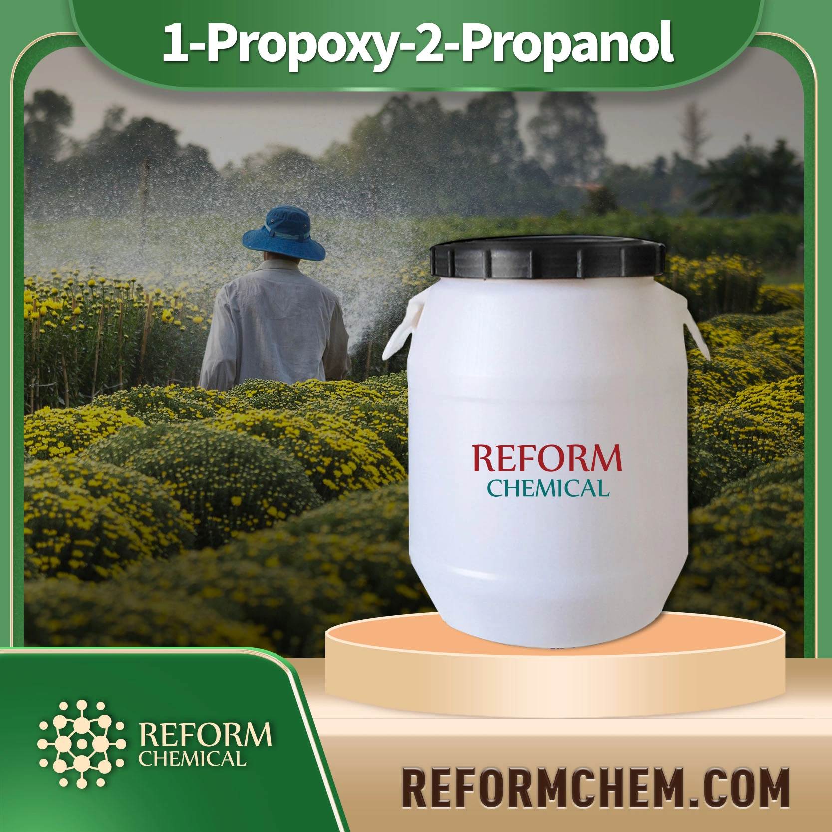 1-propoxy-2-propanol