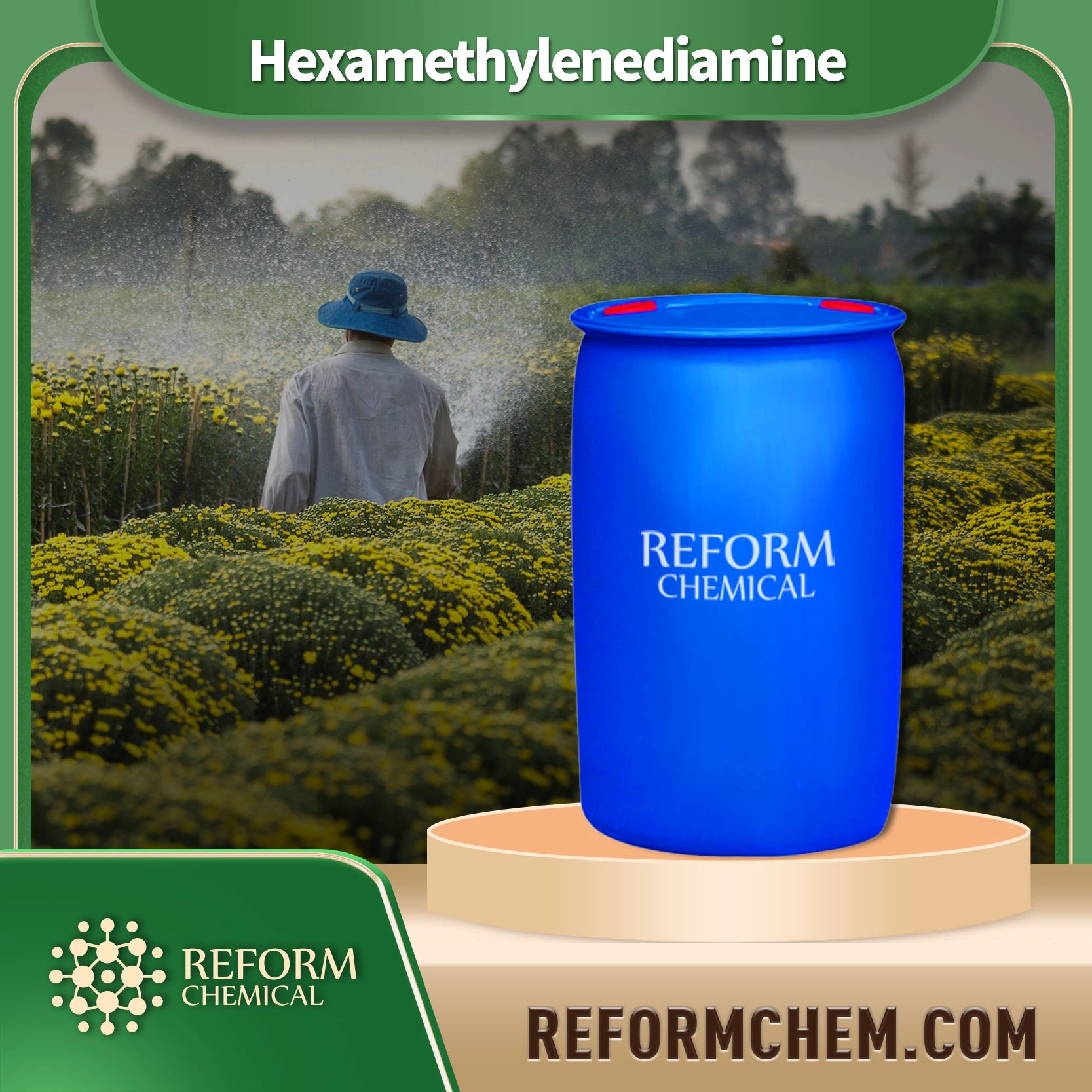 Hexamethylenediamine