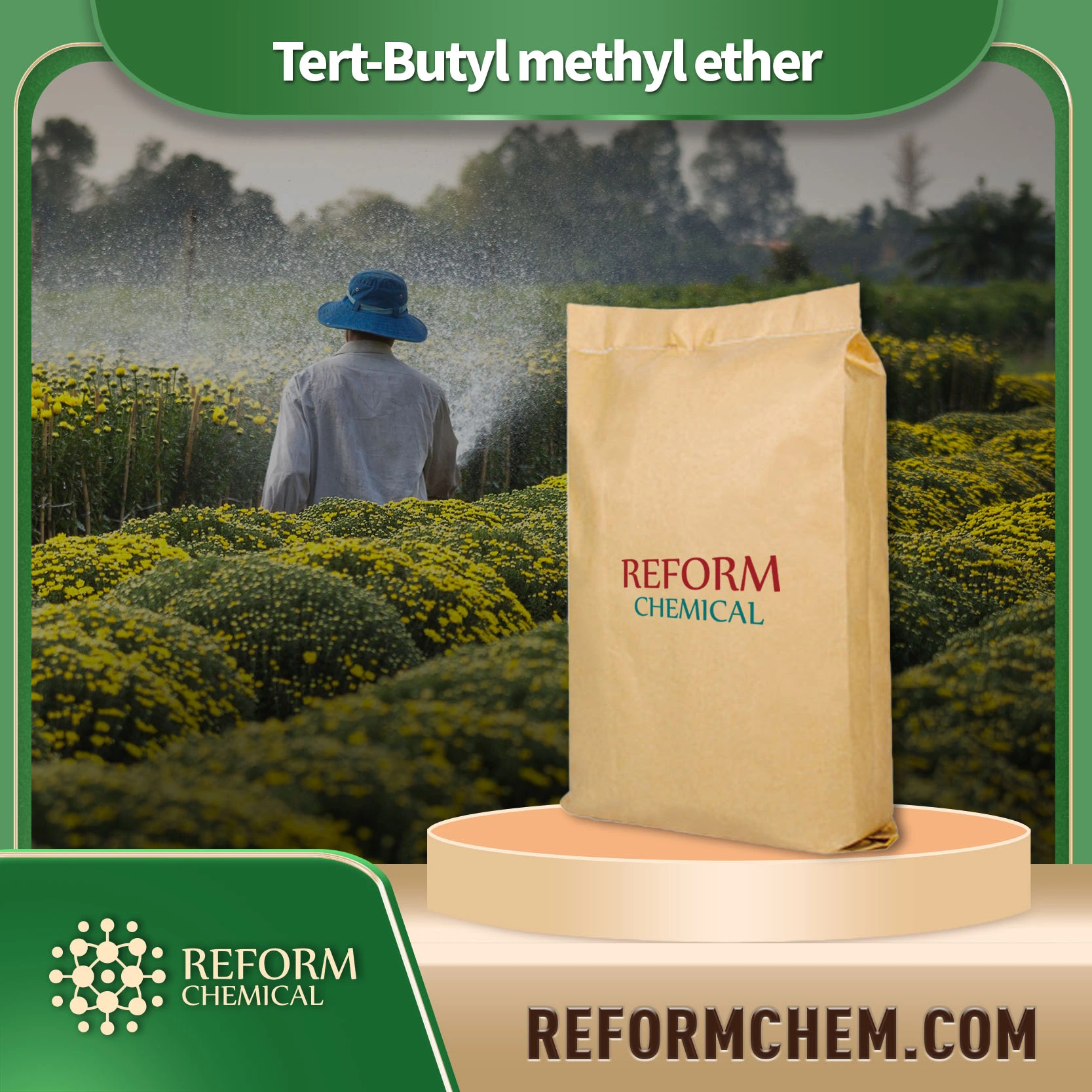 Tert-butyl methyl ether