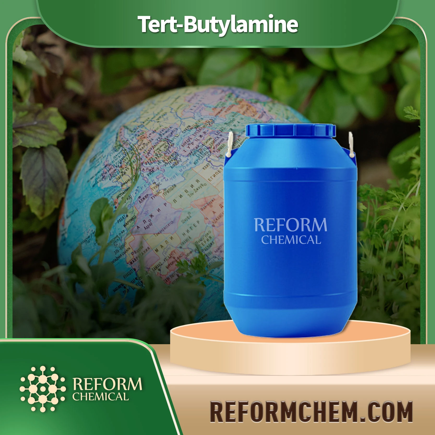 Tert-butylamine