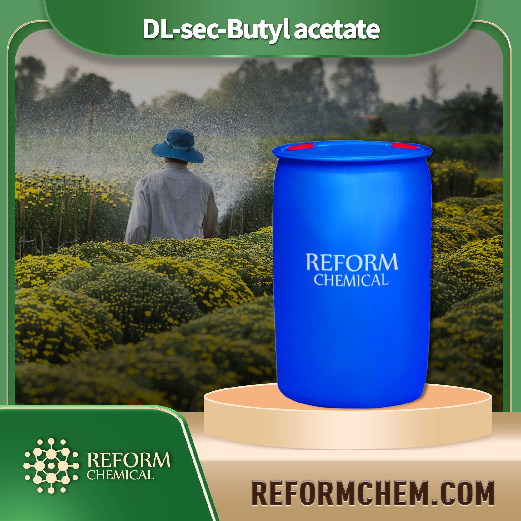 Dl-sec-butyl Acetate