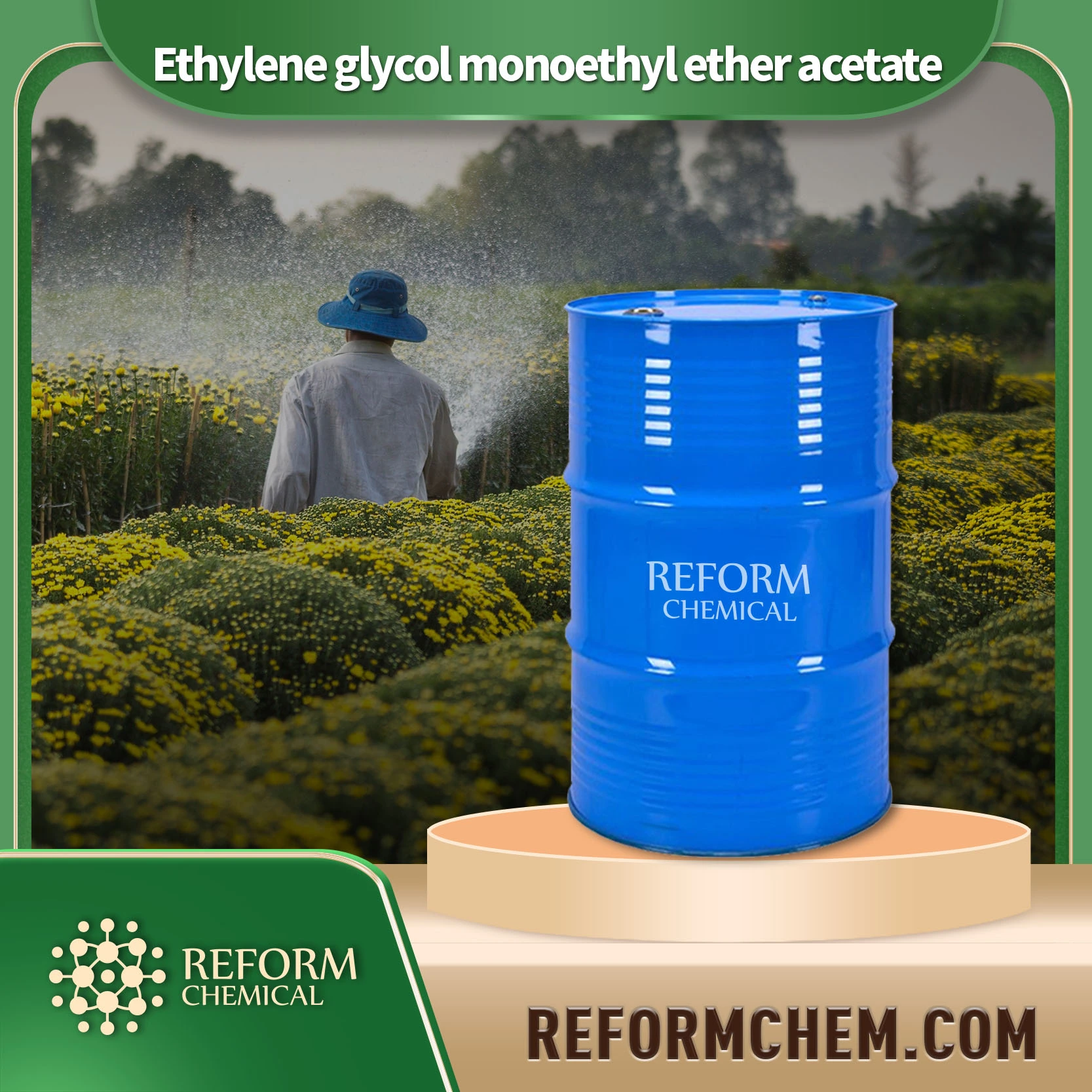 Ethylene Glycol monoetyl ether Acetate