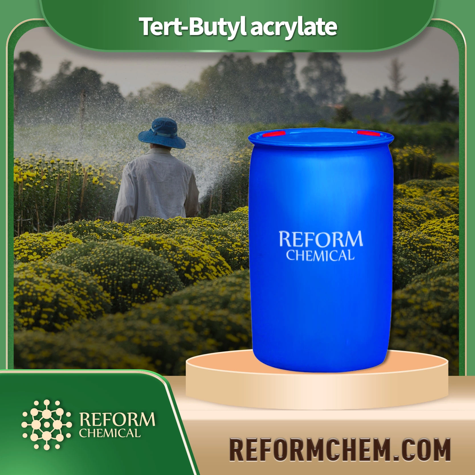 Tert-butyl Acrylate