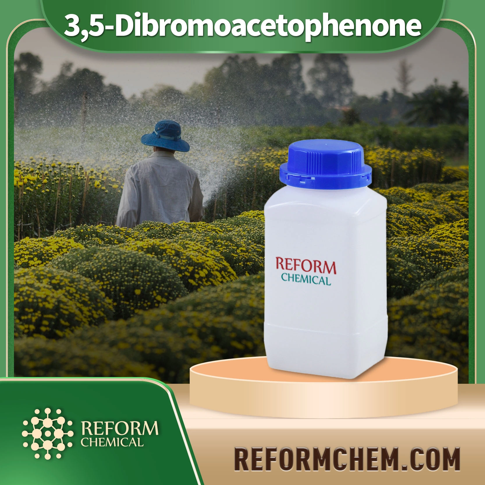 3,5-dibromoacetophenone