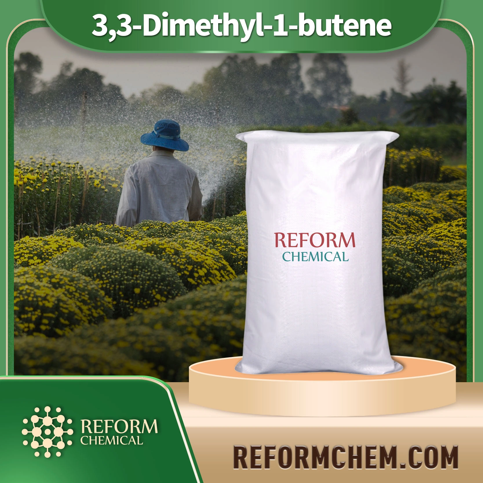 3 3 dimethyl 1 butene 558 37 2