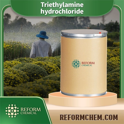 Triethylamine Hydrochloride